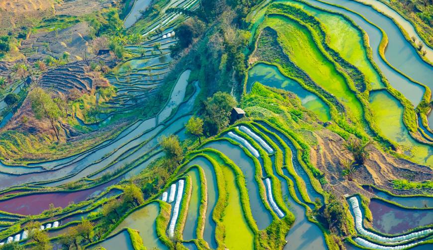 走进通化县TVC拍摄：解锁本地化场景与创意镜头的完美融合
